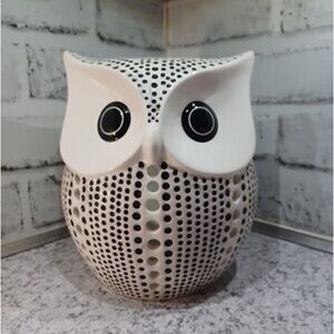 Pink Zebra White and Black Ceramic Owl Accent Shade